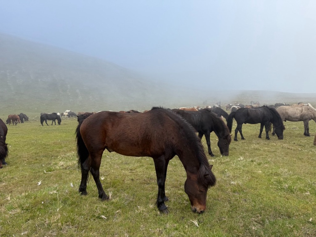 Group photo of riders