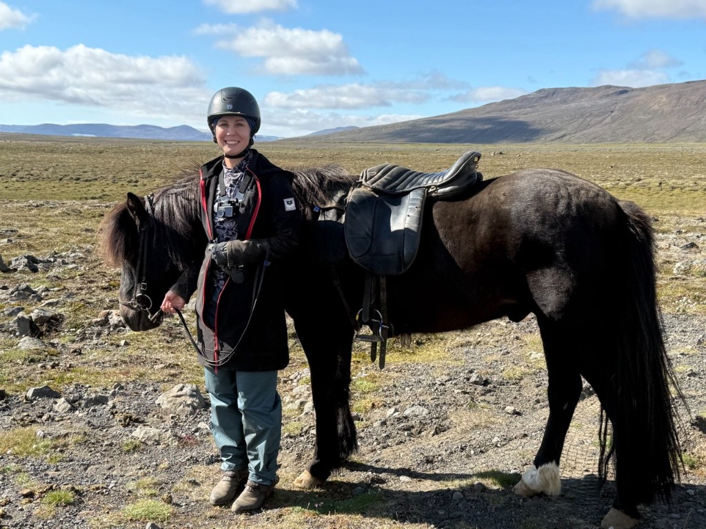 Horses crowding together