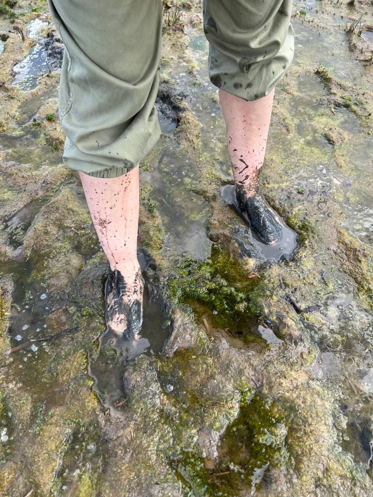 Exploring castle rooms